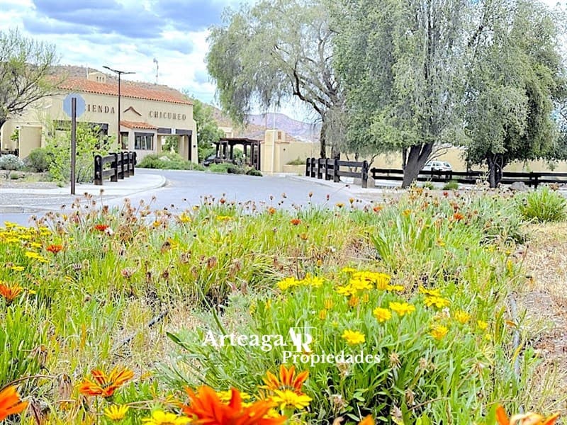 Hacienda Chicureo