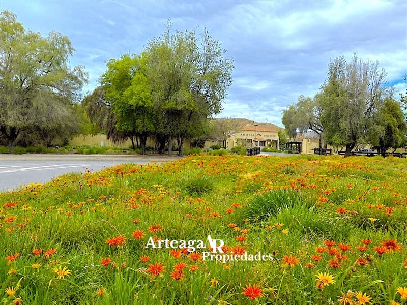 Hacienda Chicureo