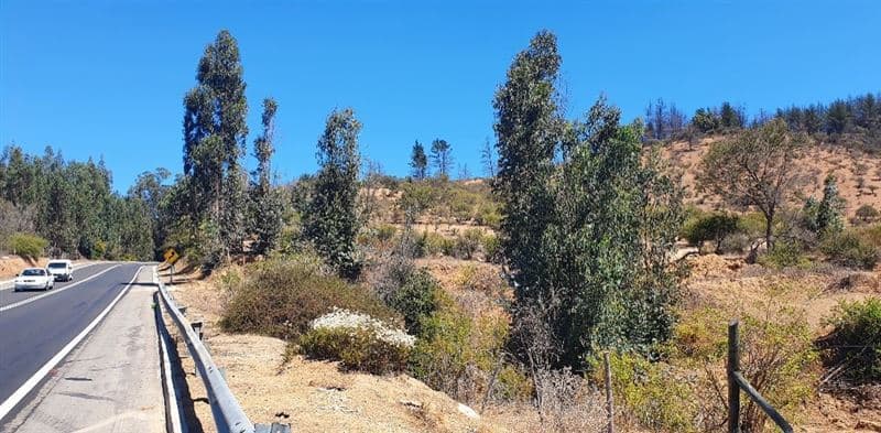 Venta Parcelas 30 Hectáre Los Quillayes Quilpué Sin Comisión