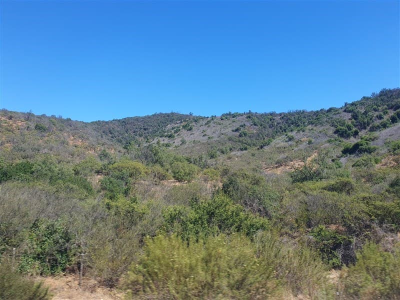 Camino Lo Orozco Sector cruce Los Quillayes Colliguay 