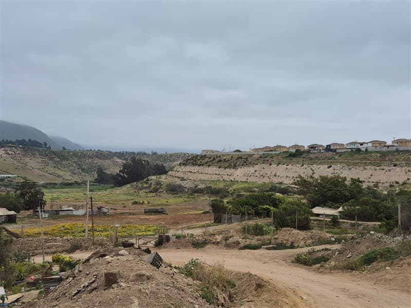 La Cantera Callejón Escuela