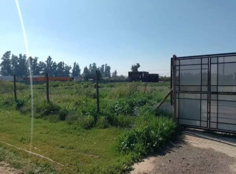 FUNDO SANTA ALICIA  Y EL OLIVETO                            