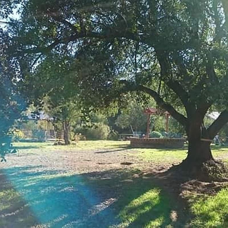 PARCELA 5000M2 CERCANA A CASA BOSQUE/ CAJÓN DEL MAIPO       