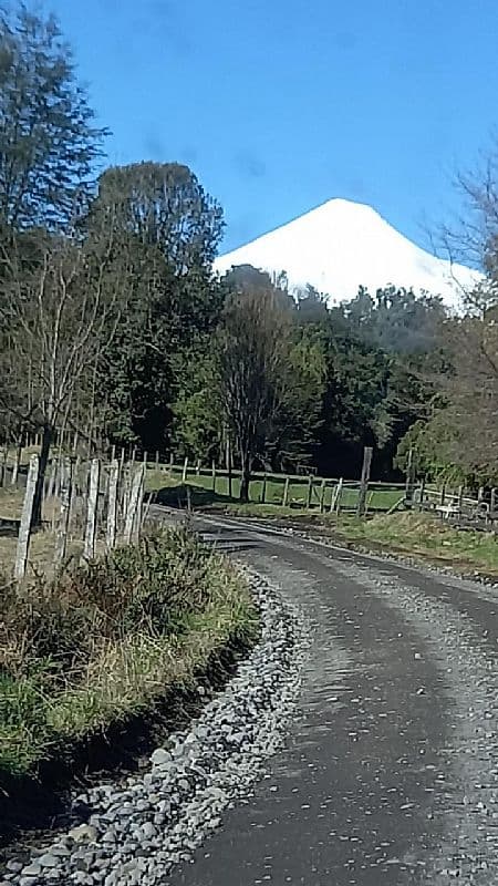 LA PICARA PUERTO OCTAY                                      