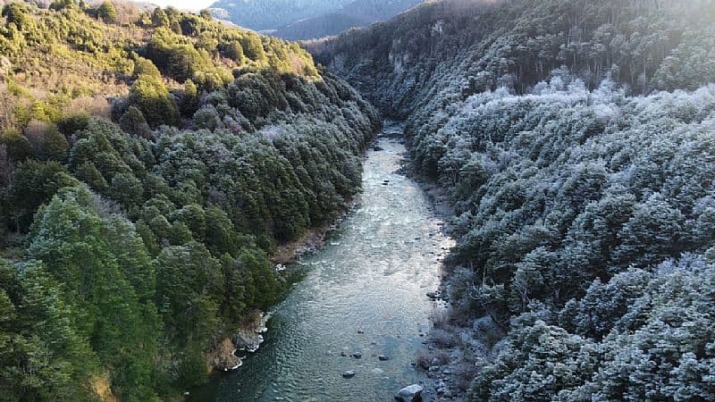 SECTOR CISNE MEDIO 230HA                                    