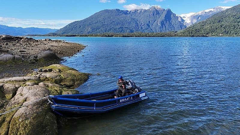 FIORDO QUEULAT 100HA                                        