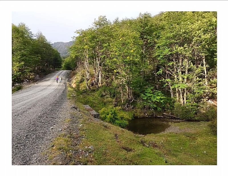 SECTOR PUERTO SANCHEZ 12 HA                                 