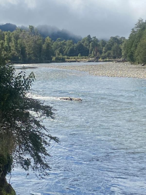 RÍO CLARO SOLAR 1HA + 2 REFUGIOS                            