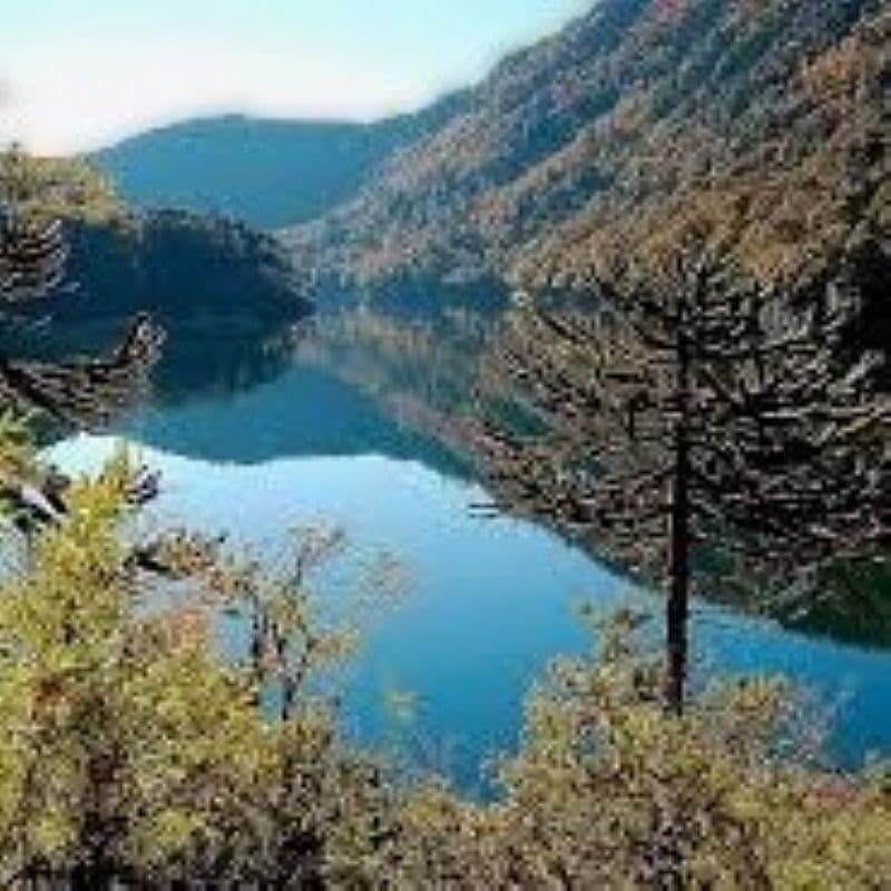 ORILLA LAGO TINQUILCO                                       