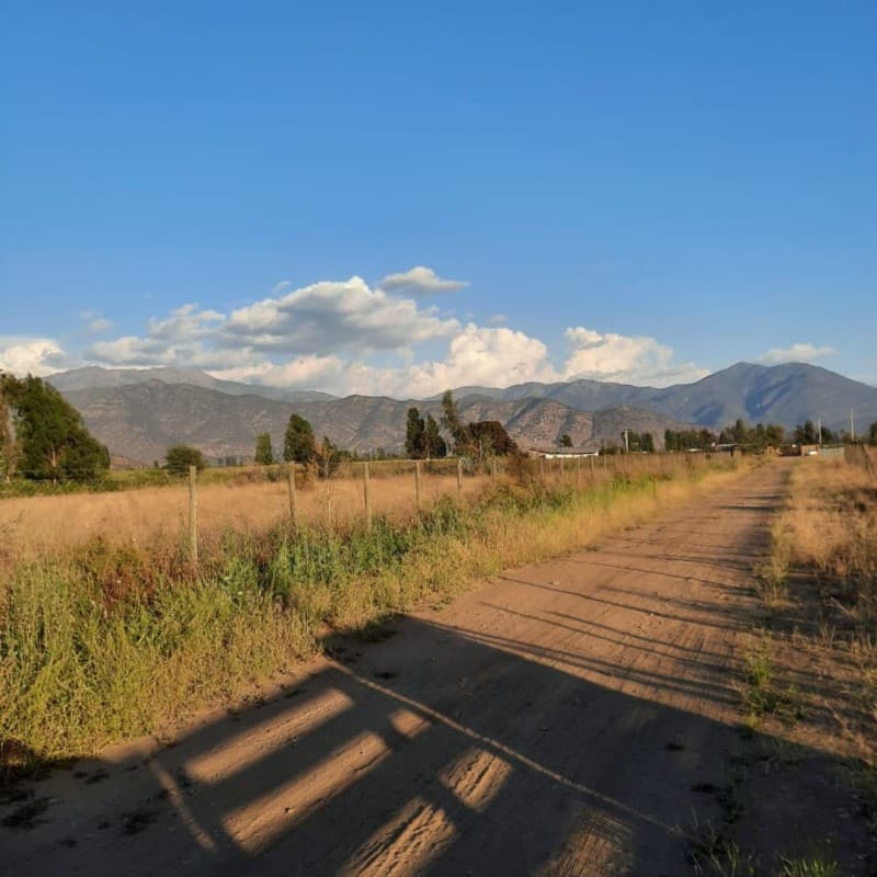 SITIO CONDOMINIO VIÑA LAS LOICAS, SAN FERNANDO              