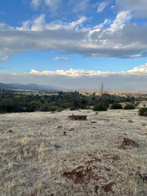 RUTA LOS CONQUISTADORES KM 17                               