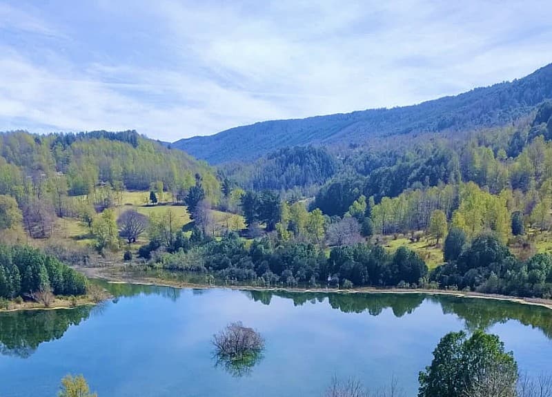 SE VENDE PARCELA 4.9 HECTÁREAS / LAGUNA SAN LUIS            