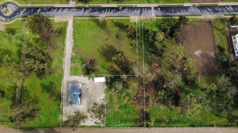 BOSQUES DE QUILEN, COSTA QUILEN, PUCHUNCAVÍ                 