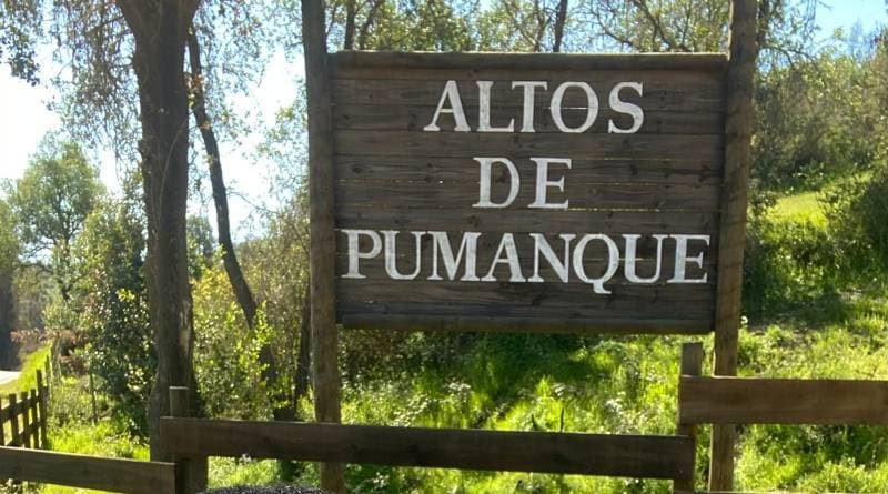ALTOS DE PUMANQUE                                           