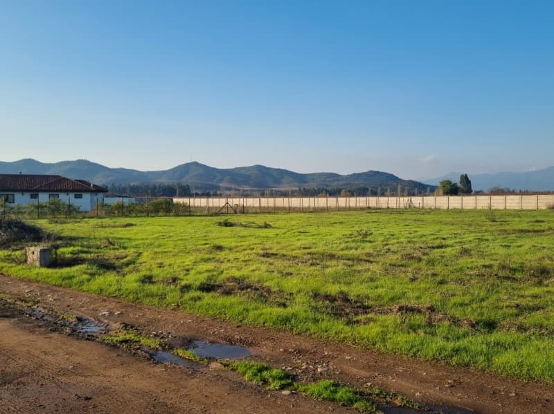 ANGOSTURA - SAN FERNANDO                                    