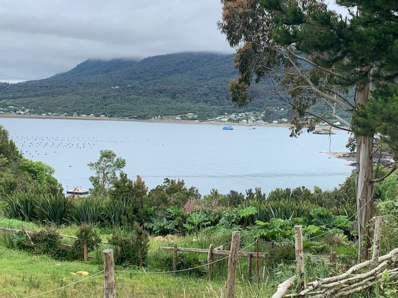 CALETA EL MANZANO, HUALAIHUÉ                                