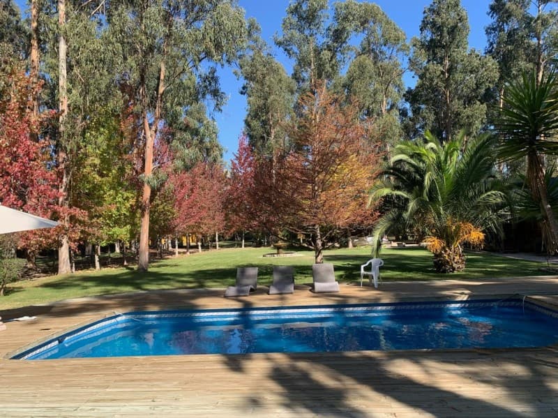 A LA ENTRADA DE CATAPILCO                                   