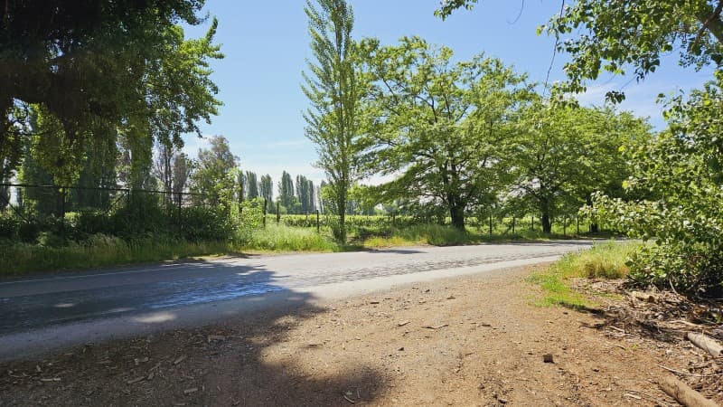 MACROLOTE VIÑA LAS CASAS DEL MAULE                          