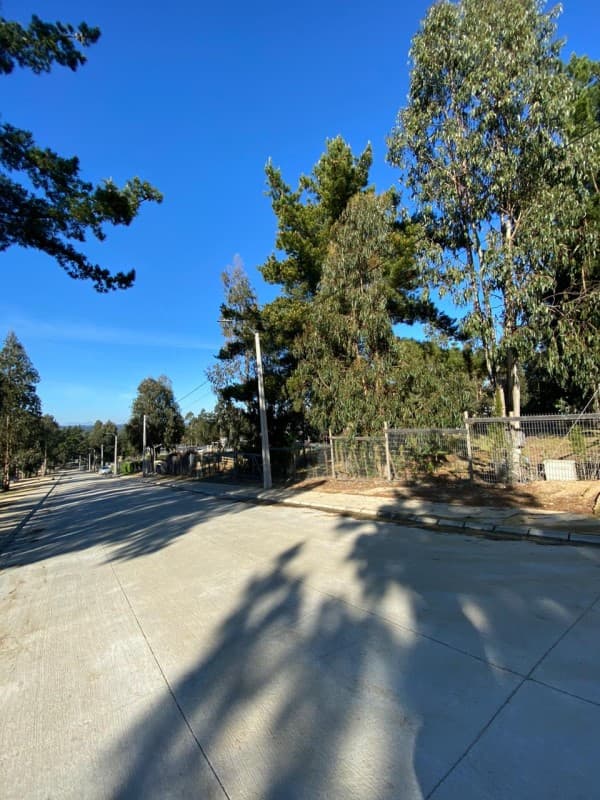 CAMINO ANTIGUO ALGARROBO KM 3                               