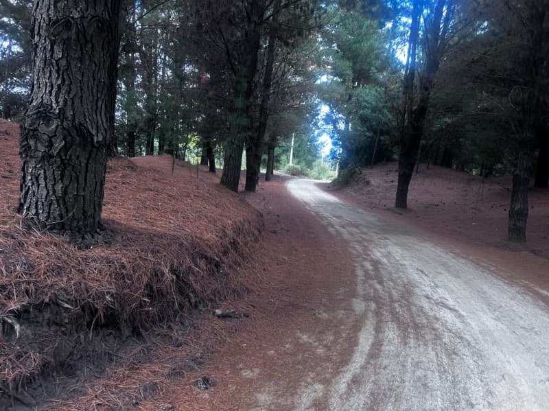 CONDOMINIO EL MIRADOR                                       