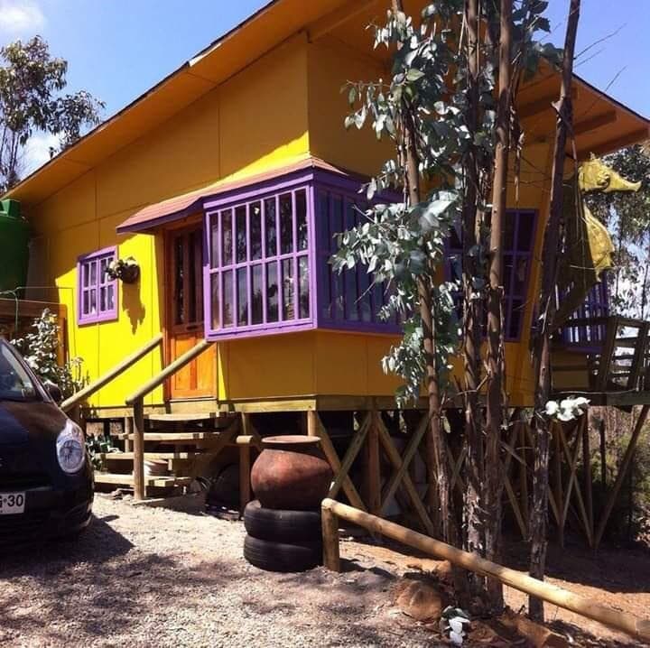 CAMINO PUBLICO AL YECO                                      