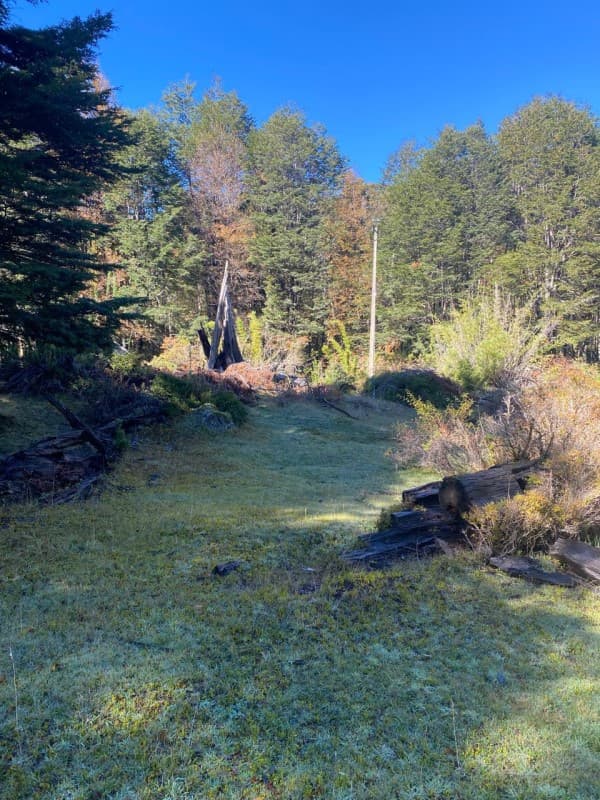 PANGUIPULLI, CAJÓN NEGRO                                    