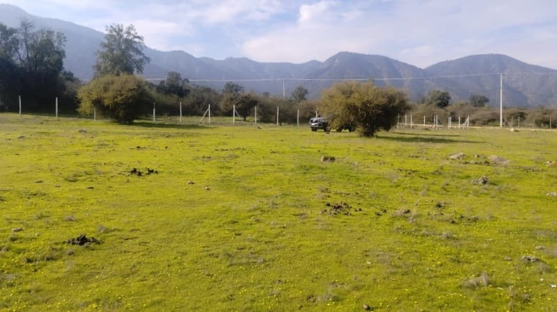 CONDOMINIO PILARES VERDES                                   