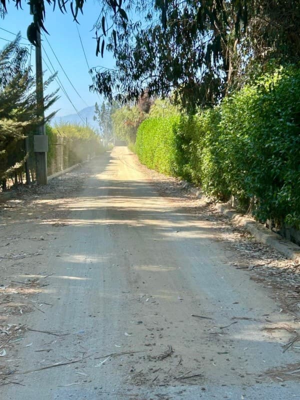 PARCELACION EL TREBOL                                       