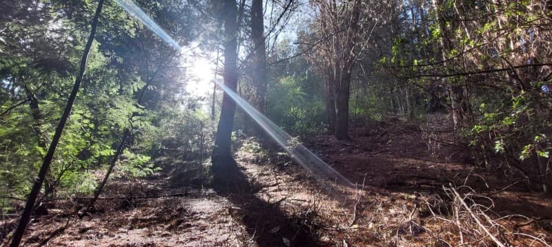 PARCELA  RUTA 146, VILLA ROMA SECTOR CRUCE AGUA DE LA GLORIA