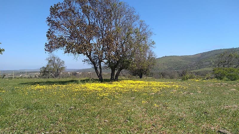 PARCELA 10.000 MT2, RUTA 5 NORTE KM 170, KM 9 RUTA E-251    