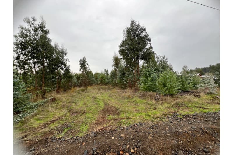 SECTOR QUILMO BAJO, CHILLAN VIEJO                           