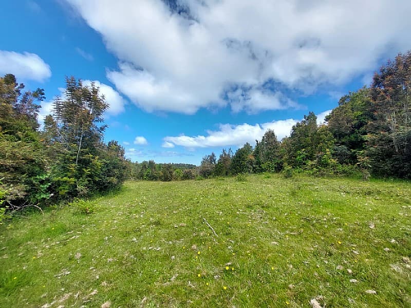 VENDO 3 HECTÁREAS EN ISLA PULUQUI                           
