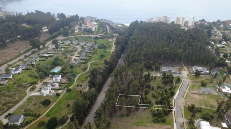 COSTA QUILEN, BOSQUES DE QUILEN, PUCHUNCAVÍ                 