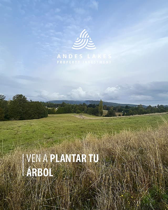 PARCELA LLIU LLIU ALTO VISTA VOLCÁN VILLARRICA S-91 LONCOCHE