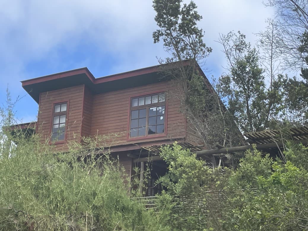 EX CAMINO AL TOTORAL                                        