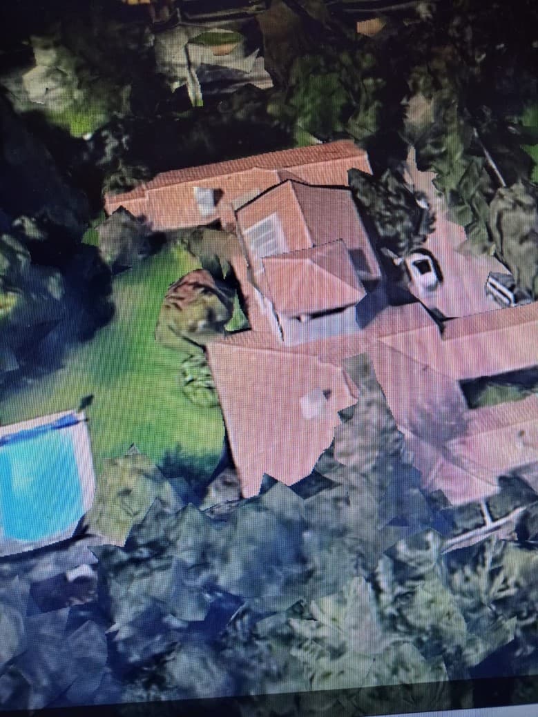 CAM. LAS FLORES/CAMINO OTOÑAL DOMINICOS ANTIGUOS            