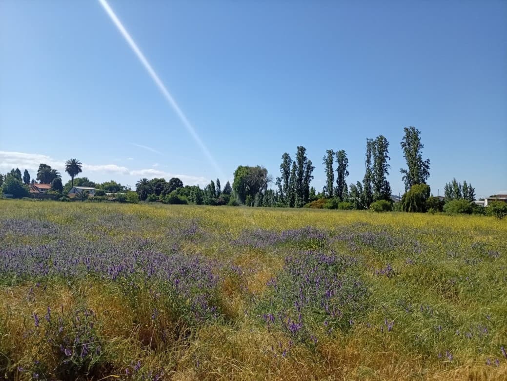 CHORRILLOS - SAN JAVIER                                     