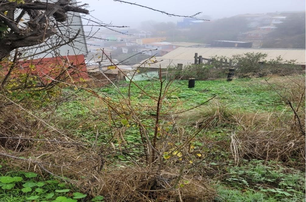 TERRENO EN CERRO LOS PLACERES                               