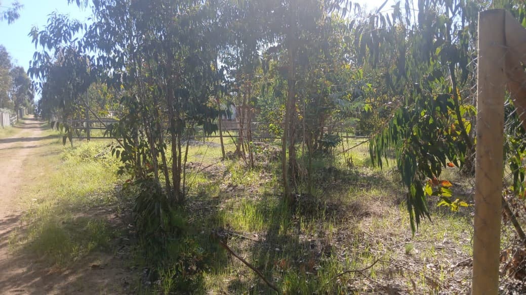 HUAQUÉN FRENTE PLAYAS LAS SALINAS Y PICHICUY                