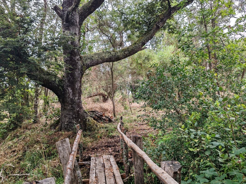 A 1KM DE CARRETERA S 60, CRUCE A PORMA.                     