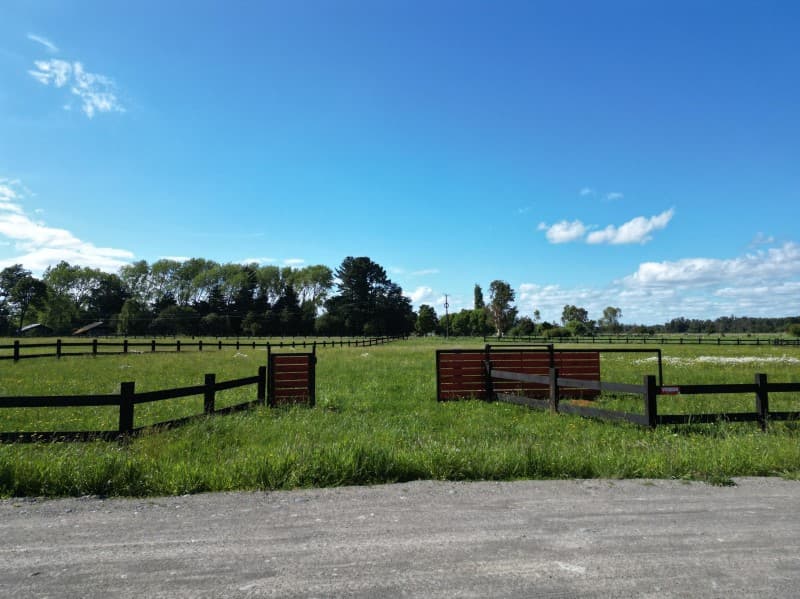 VISTA OCTAY, PUERTO OCTAY, REGION DE LOS LAGOS              