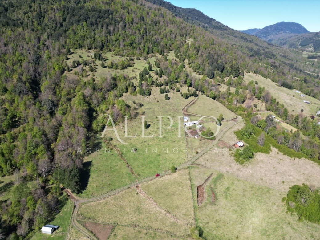 CAMPO EN VENTA EN PUCÓN TIQUECO COILACO 20,42 HA Y 12,78 HA 