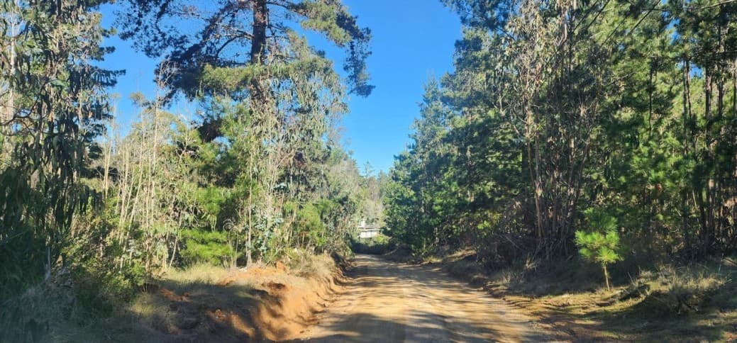 PARCELA  17.394 M2 EN EL QUISCO                             