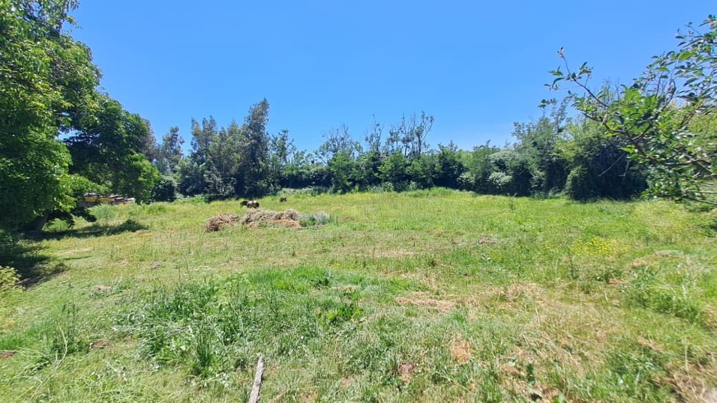 TERRENO LAS VISCACHAS                                       