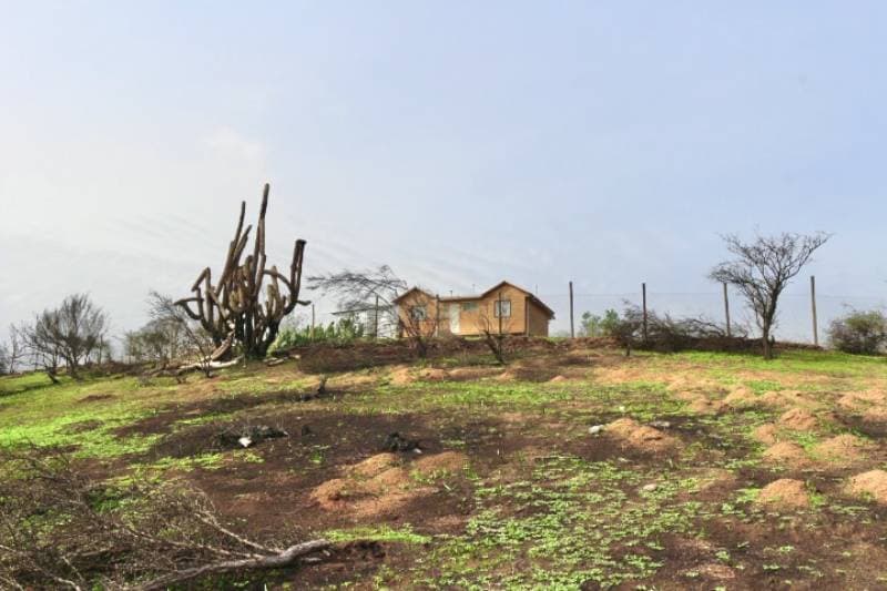 TERRENO 16.400 MT2, RUTA G60 142, MELIPILLA, RM             