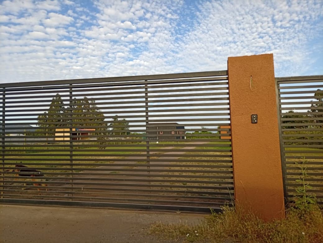 CAMINO A COMALLE, EL PLUMERO                                