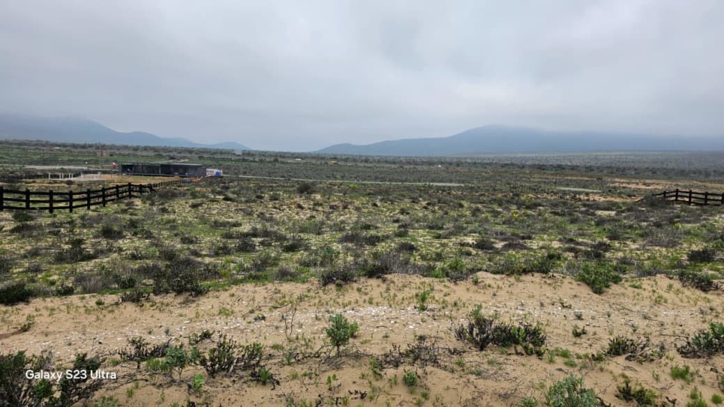PLAYA MORRILLO COQUIMBO                                     