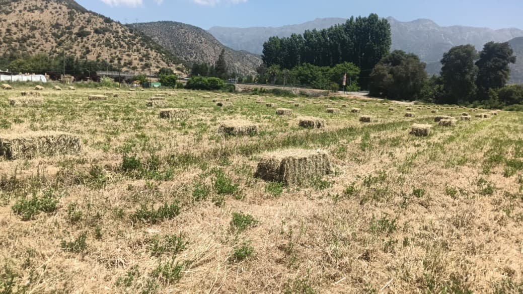 PARCELAS EN VENTA SAN FRANCISCO DE MOSTAZAL 5.000 M²        