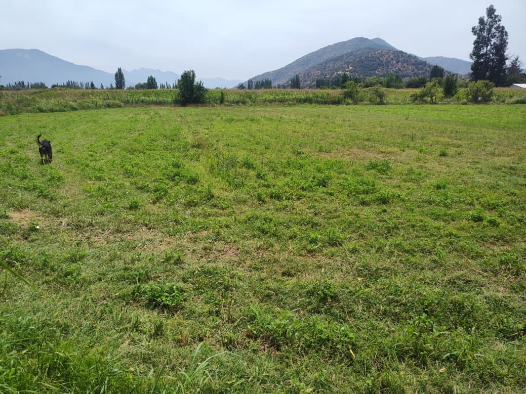 ZUÑIGA A 10 MINUTOS  DE SAN VICENTE                         
