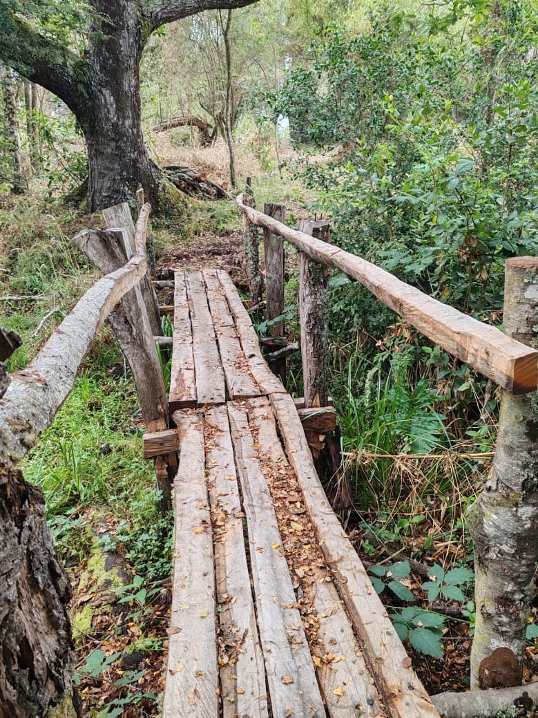 CARRETERA DE HUALPÍN A TOLTÉN, INTERSECCIÓN A PORMA.        